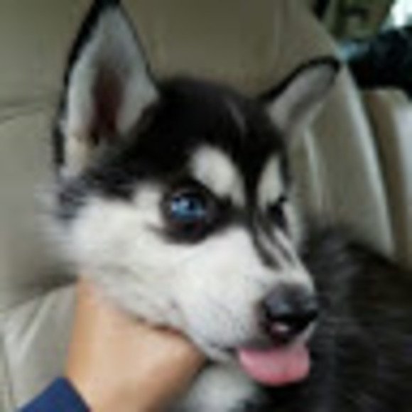 Meet your Posher, Fiorella - Picture 1 of 1